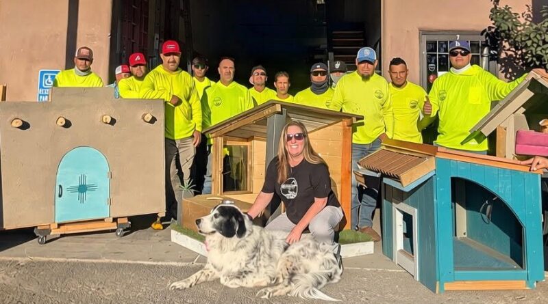 Woofing & Roofing